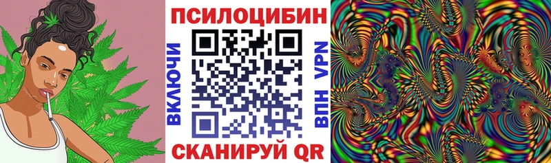 Галлюциногенные грибы GOLDEN TEACHER  omg ТОР  Новое Девяткино 